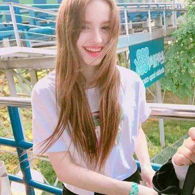 飞鸟不飞