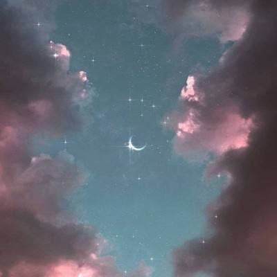 孤独的鸟儿