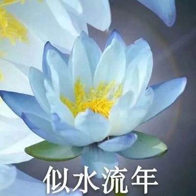 穿越火线:枪战王者-体验服