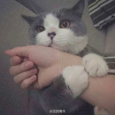 污污导航精品网站
