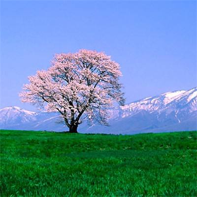 房间的秘密3:女团回归夜