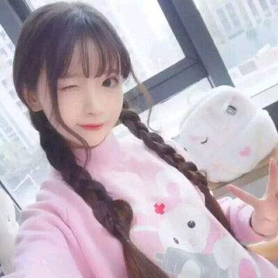 灵动小猫