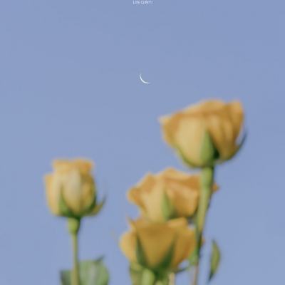 橄榄球策略
