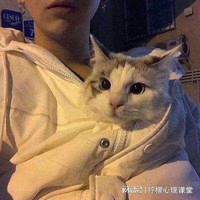 超级骇客归来无敌版
