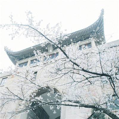 城市障碍赛车