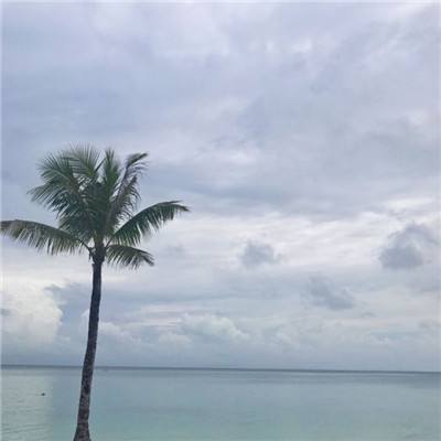 小说范冰冰柳岩
