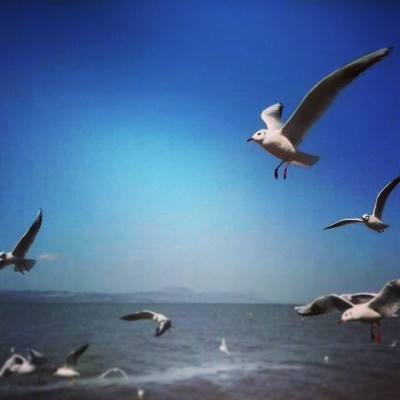 妖星再现3圣战RP