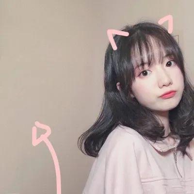 宠物美容店