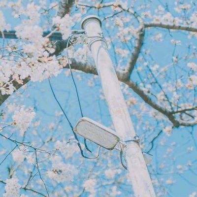 狂热的自行车手