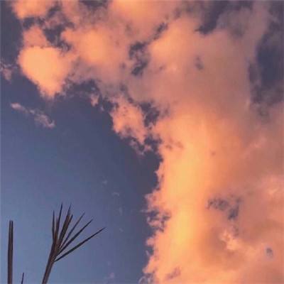 茄子短视频app下载网址黄