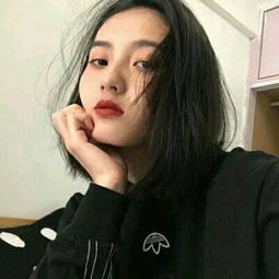末世卡车送货中文版