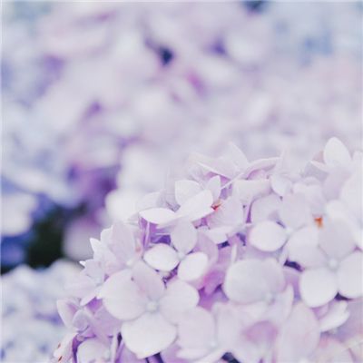 可爱彩虹小马
