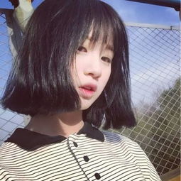 精灵宝可梦小智的旅行 精灵宝可梦小智的旅行