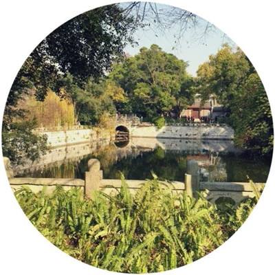 美国两CEO赌上千万美元叫板马斯克：AI无法全方位超越人类