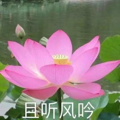 8848四虎成人影院在线观看永久免费