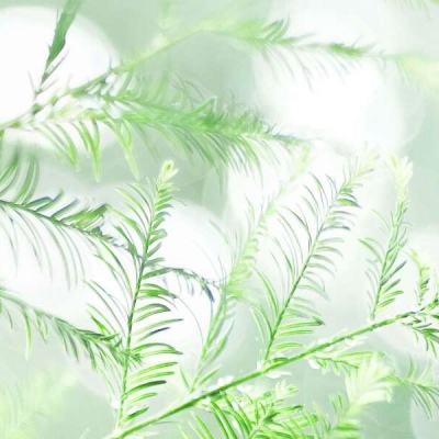 超时空隧道