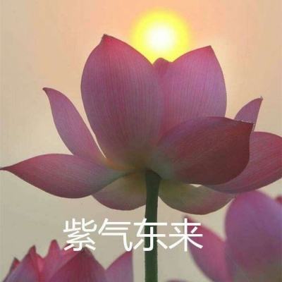 极限漂移赛车