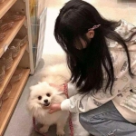 人形机器人何必困于“人形”，场景决定形态